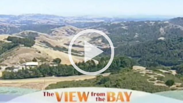 View from the Bay on ABC - Episode 1 video featuring life coach Amber Rosenberg